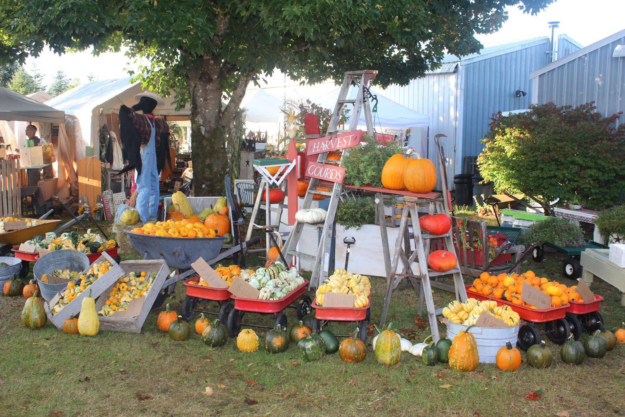 Country Chicks Fall Market